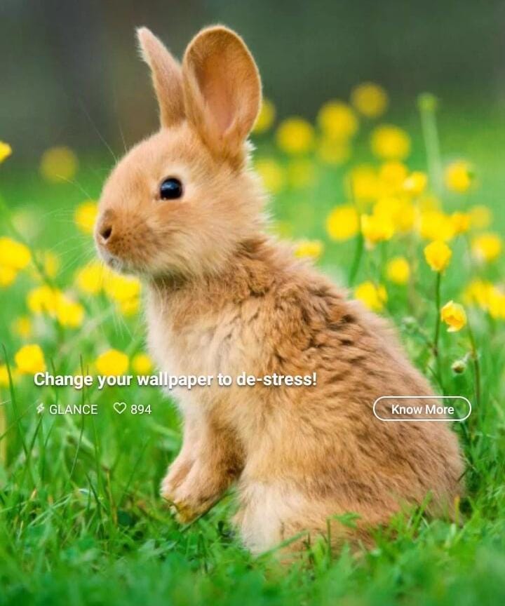 Nothing Phone (3a) Lite (8GB RAM, 128GB Storage) | Dimensity 7300 Pro | 5000mAh Battery | Smarter with Nothing OS AI